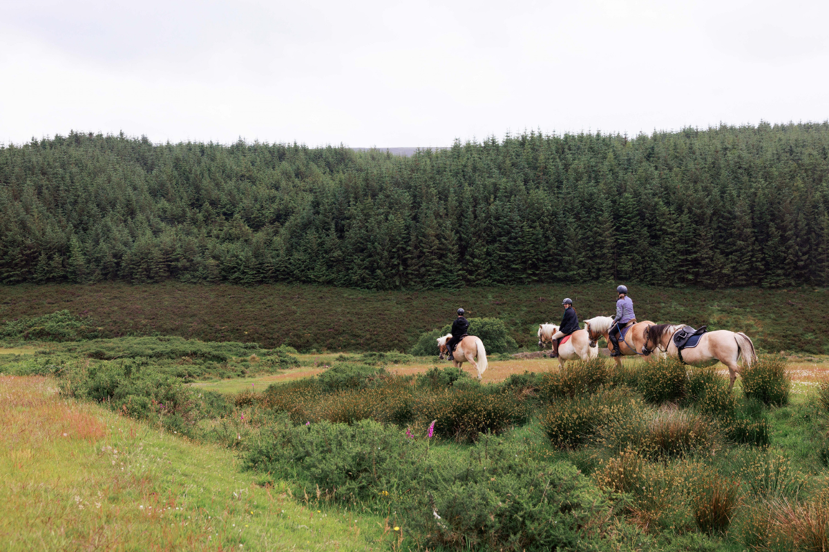 Pony Trekking